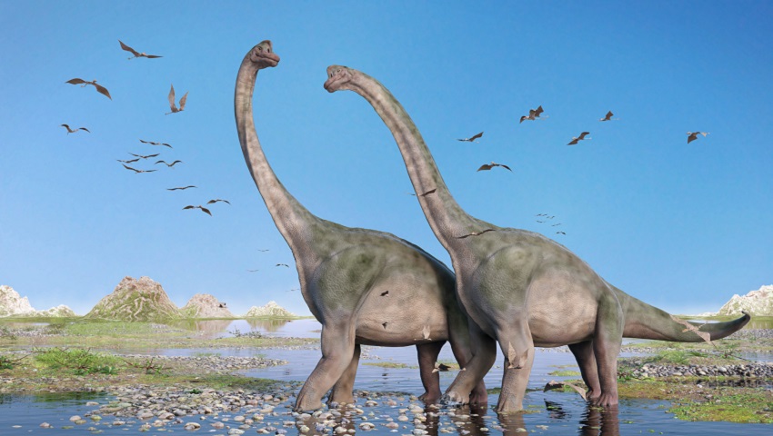 dinosaur migration is dependent on climate