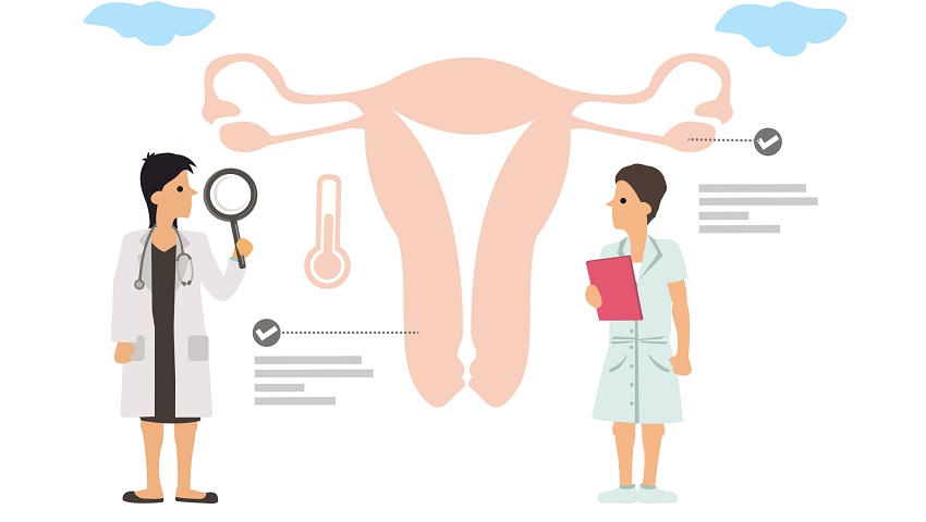 Gynecologist doctor and nurse examine female patient uterus reproductive system.