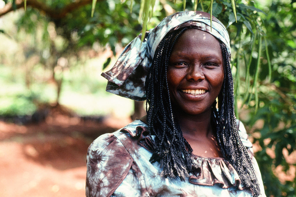Wangarĩ Maathai grows a movement