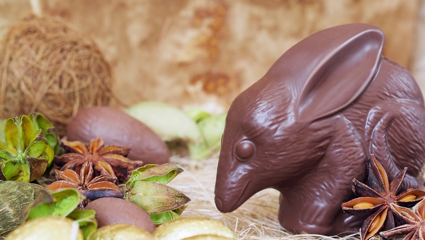 Chocolate easter bilby