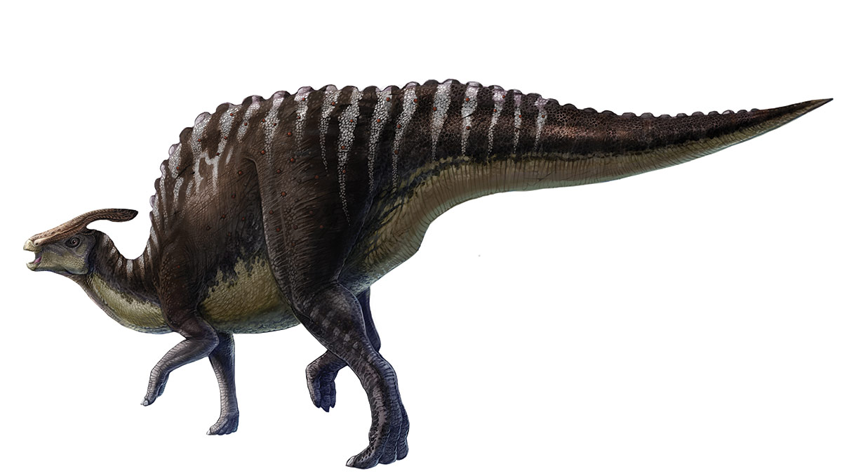 ‘Paleodermatologist’ has skin in the dinosaur game