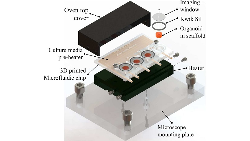 A 3D-printed microfluidic bioreactor for organ-on-chip cell culture.