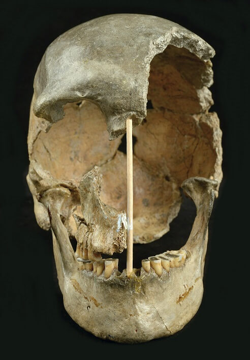 Initial attempts to date zlatý kůň based on the shape of her skull suggested she was at least 30,000 years old. Researchers now believe she lived more than 45,000 years ago.