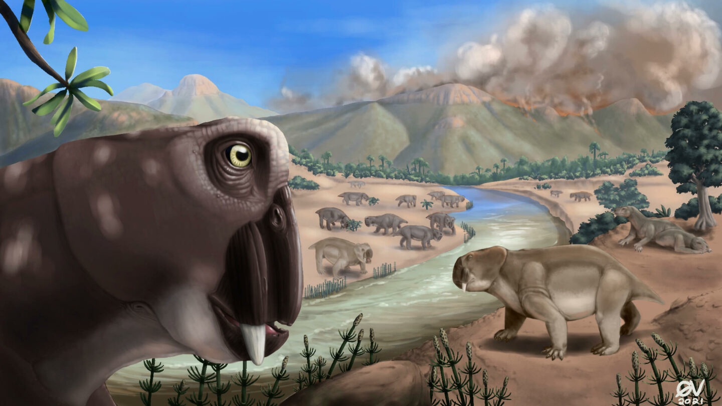 An illustration showing Lystrosaurus during the end-Permian mass extinction.