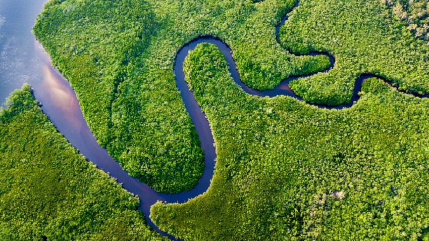 a river through a forest. the forest is green. The ocean is on the left. There are three forks in the river