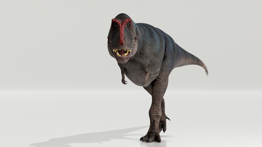 Digital reconstruction of Trix the T-rex