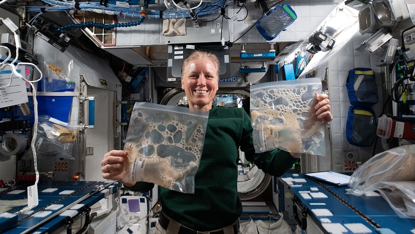 Nasa astronaut and expedition 64 flight engineer shannon walker exhibits sample bags collected from the grape juice fermentation study aboard the international space station.