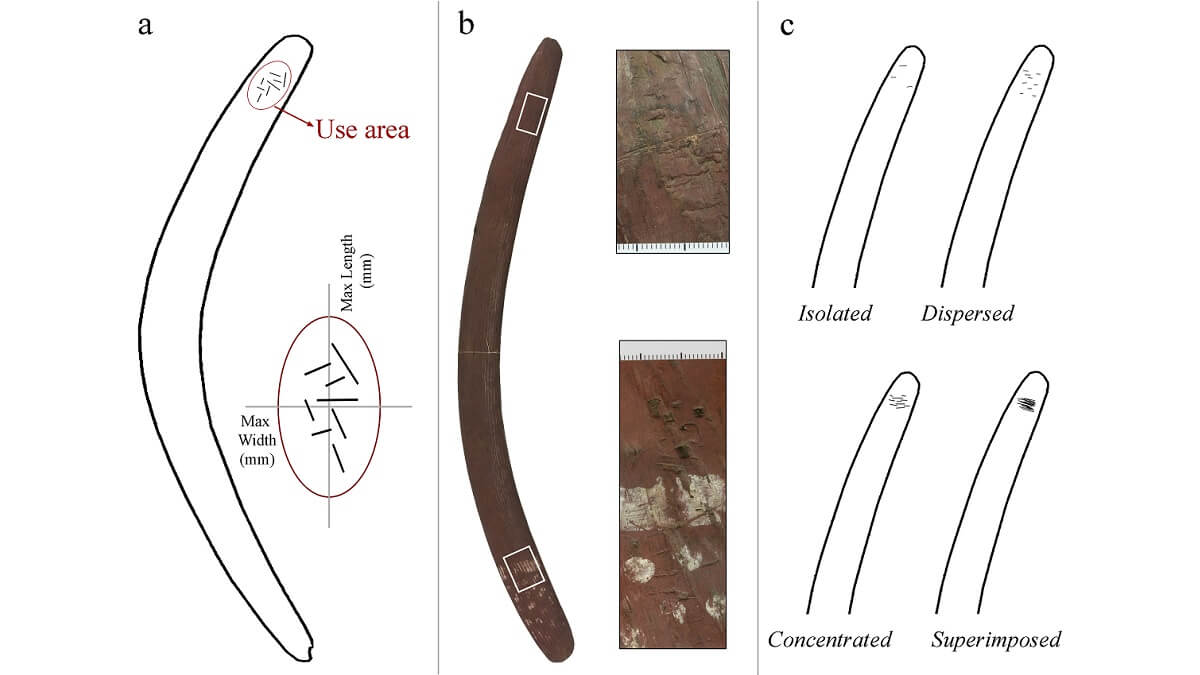 Some boomerangs were used to shape stone tools. Diagram from Martellotta et al., 2021