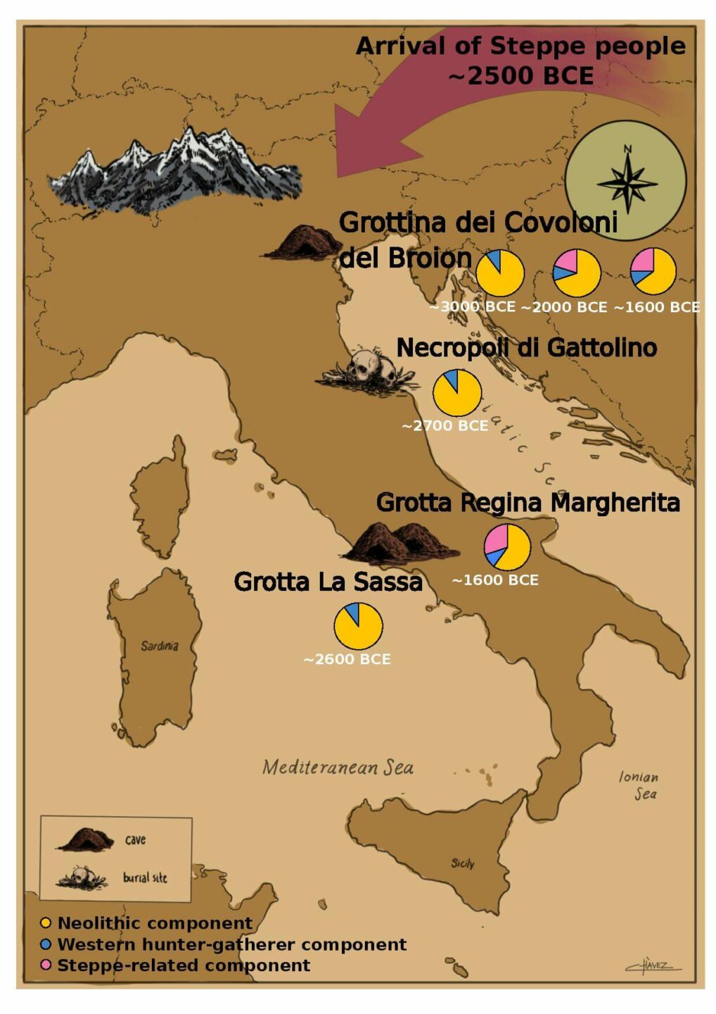 Map showing the arrival of steepe people into ancient italy. Pie charts show the component of dna from different eras/geographies found in each burial site in the study. 3 pie charts have a steppe component. 3 do not.