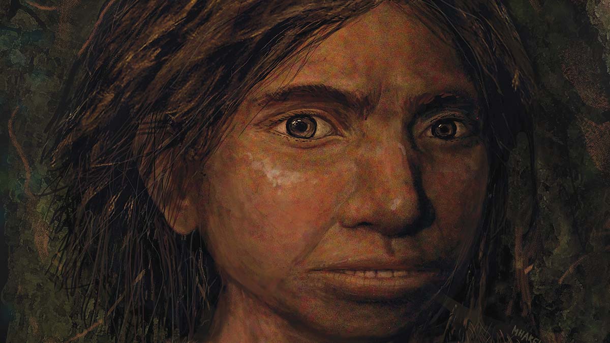 A Denisovan woman’s identikit, drawn by computational biologists based on her DNA alone.
