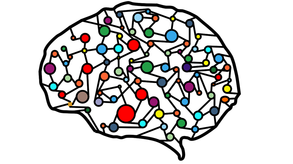 a brain shape with colourful circles connected by lines