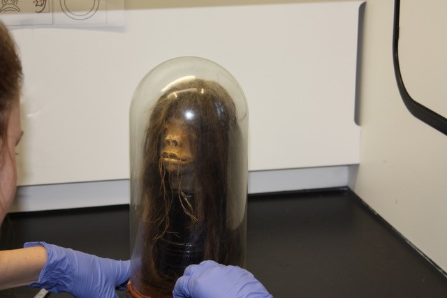 A small head in a rounded jar. In has long black hair. There is a person with blue gloves holding it
