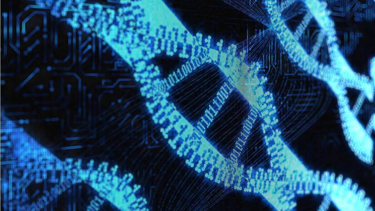 Binary code data storage in DNA
