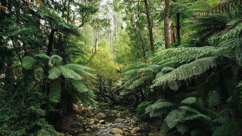 Climate and biodiversity loss must be tackled together