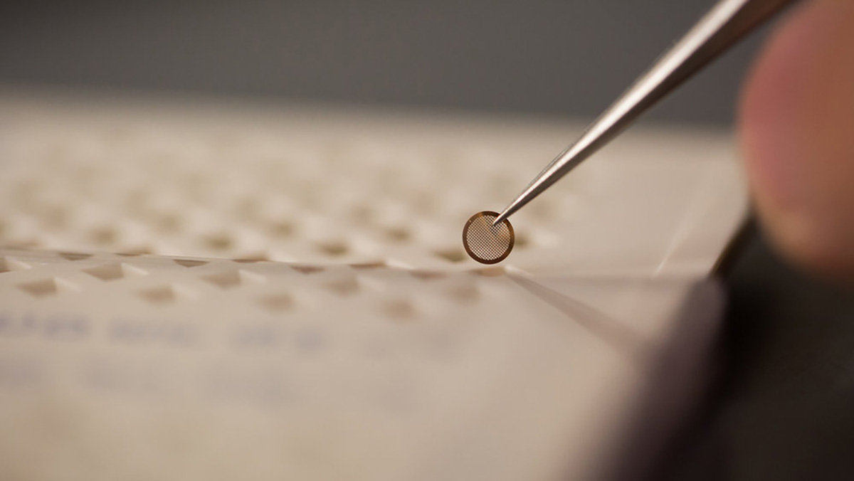 Tiny computer chip held in tweezers