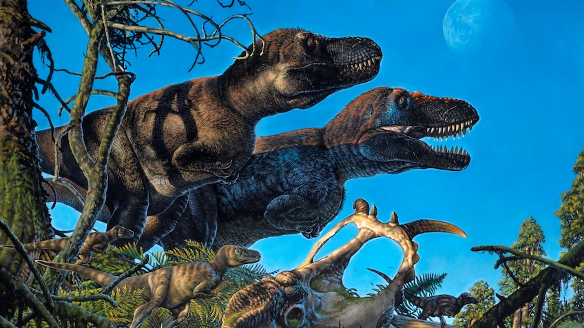 The tyrannosaur nanuqsaurus with its young credit james havens