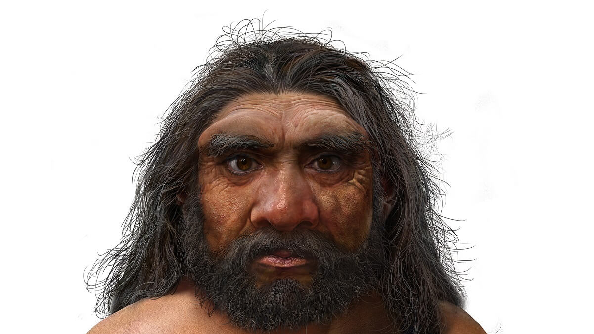 Digital reconstruction of man with black hair and beard