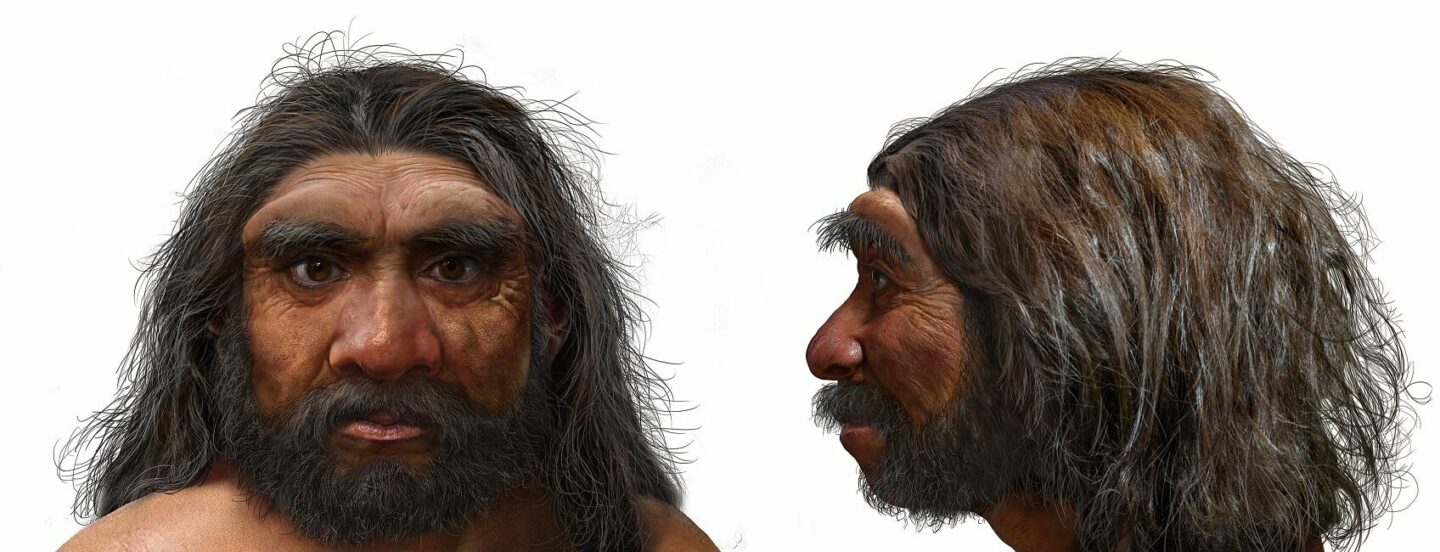 Digital reconstruction of man with heavy brown and long black hair and beard