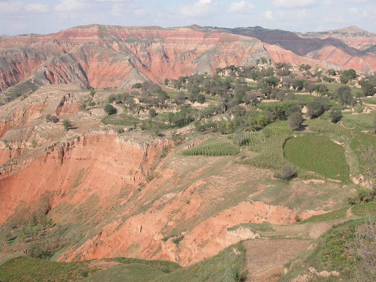 Orange hills with green trees on the left