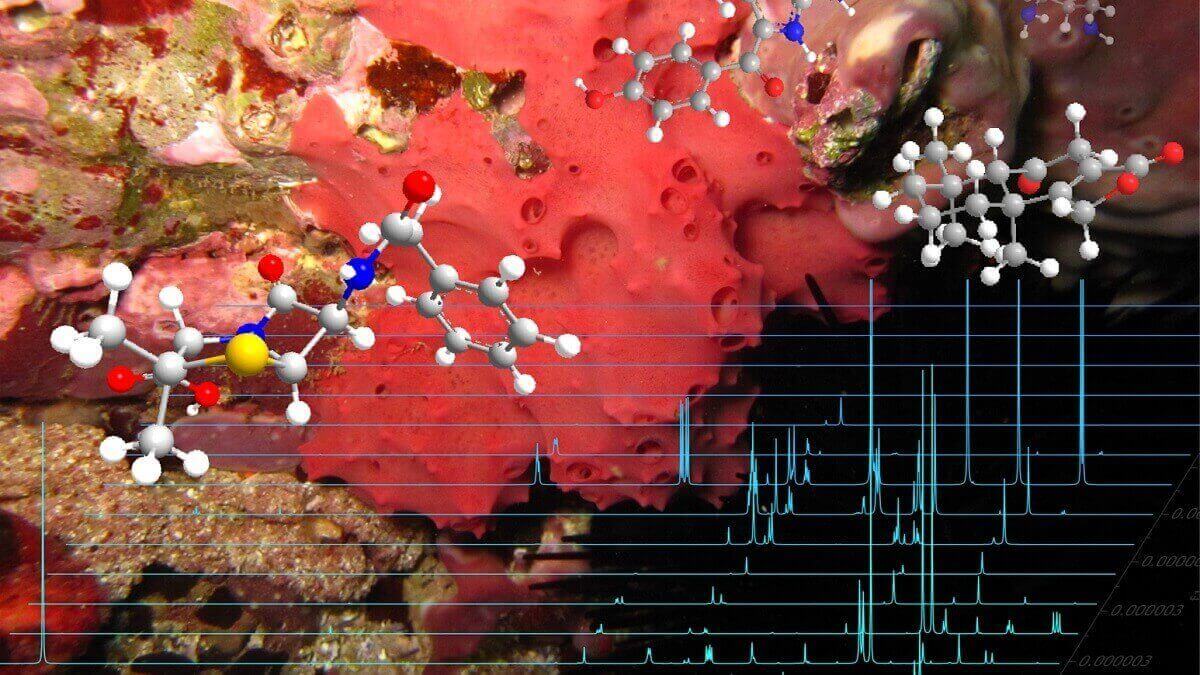 Composite image of NMR spectra showing peaks on graphs, 3D ball-and-stick images of molecules, and a marine sponge