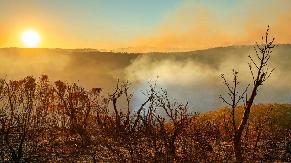 Smoke in the Blue Mountains following a bushfire