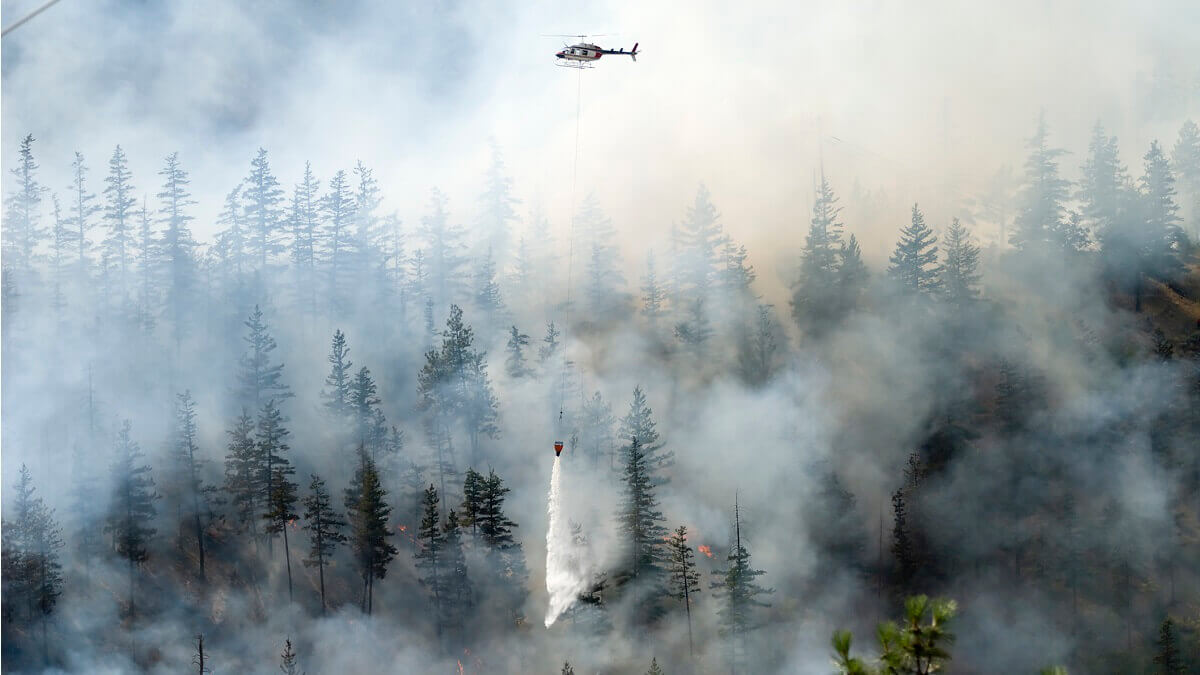 A North American forest fire