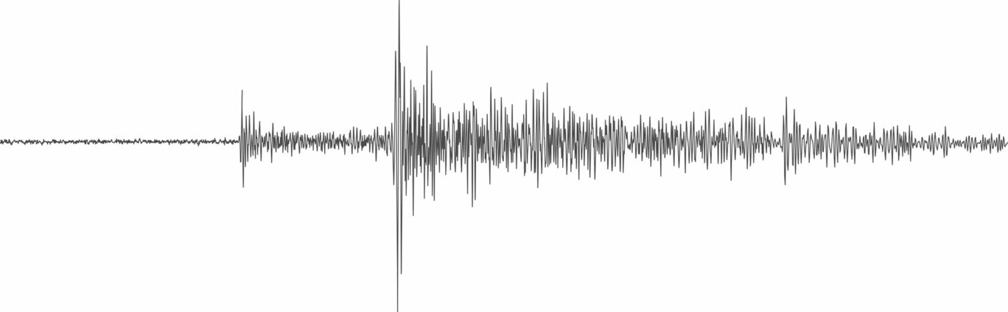 The black wiggles of a seismogram on a white background, representing a martian earthquake