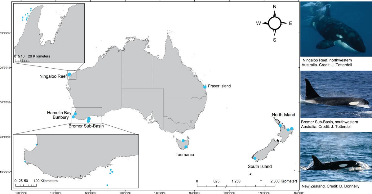 Map of where killer whale samples were taken