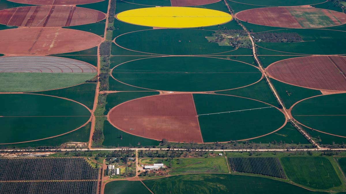 A photograph of an aerial view over pivot irrigation in the Murray Darling Basin, Victoria.