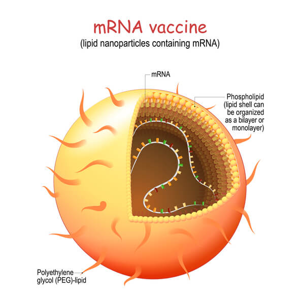 A round yellow spikey ball withthe middlecut out. It says mrna vaccine. There is dna inside the ball.