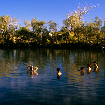 Dalhousie springs, and tourists bathing, witjira national park, simpson desert, northeastern south australia,
