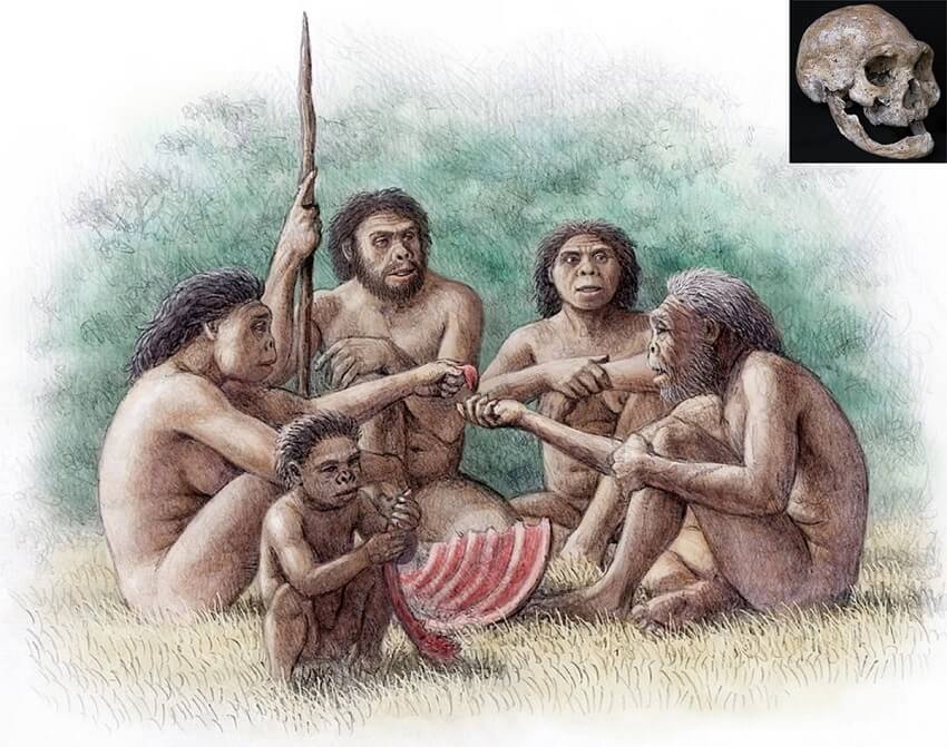 A group of early humans sharing food on grasslands.