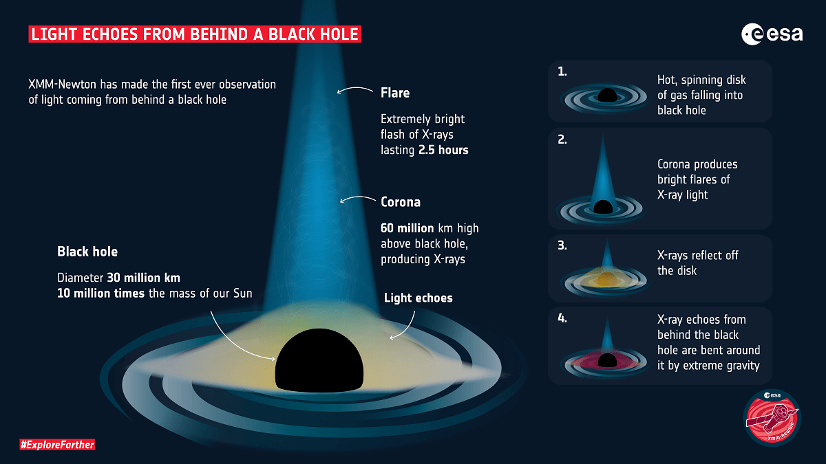 Infographic describing how light echoes from behind a black hole.