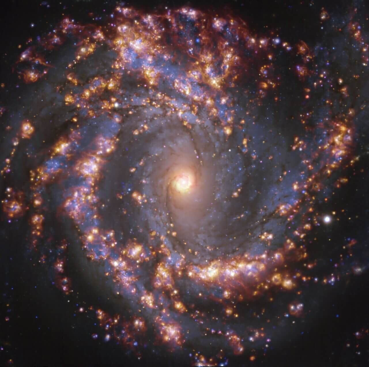 A top-down image of a spiral galaxy.
