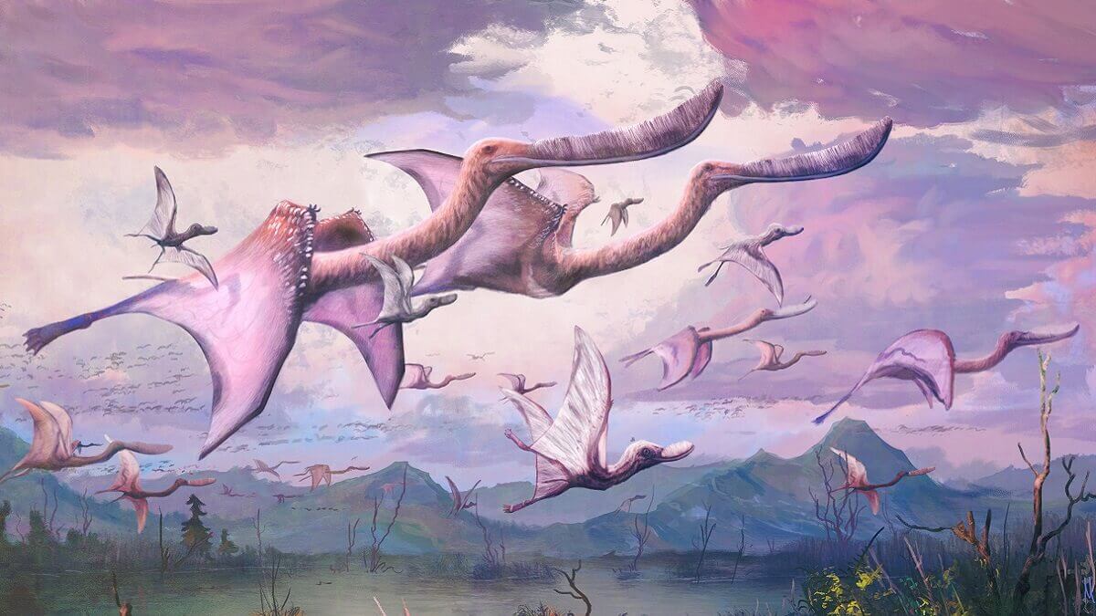 A flock of adult and baby pterosaurs in flight