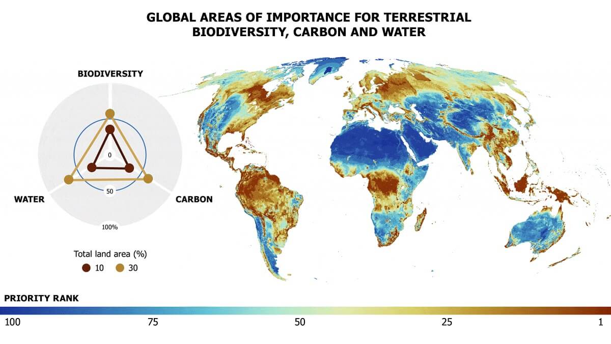World map showing global areas of importance for terrestrial biodiversity, carbon and water