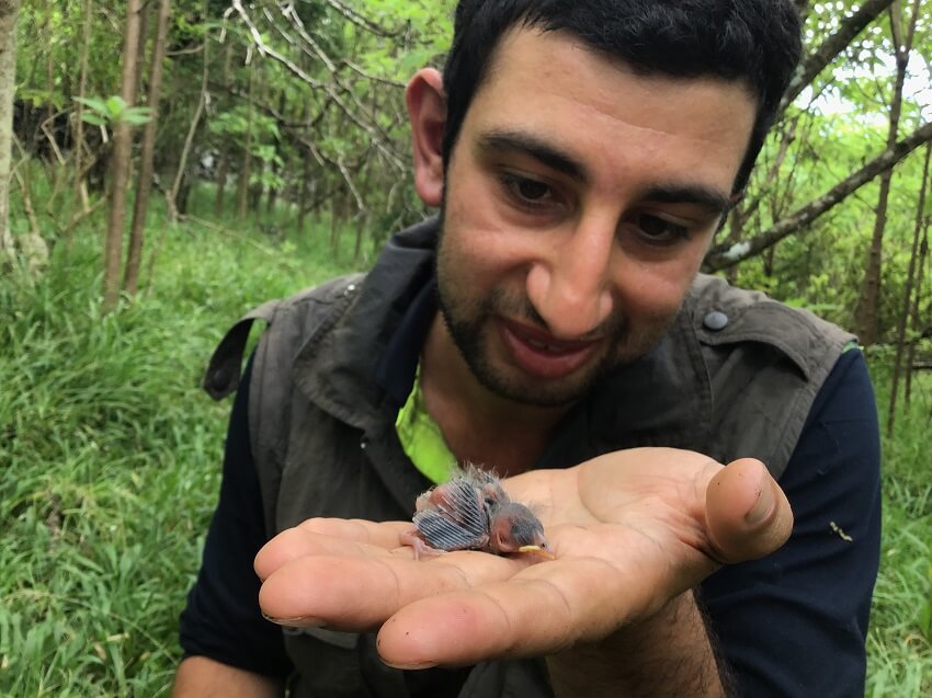 Photo of andrew katsis holding a baby finch in his open palm