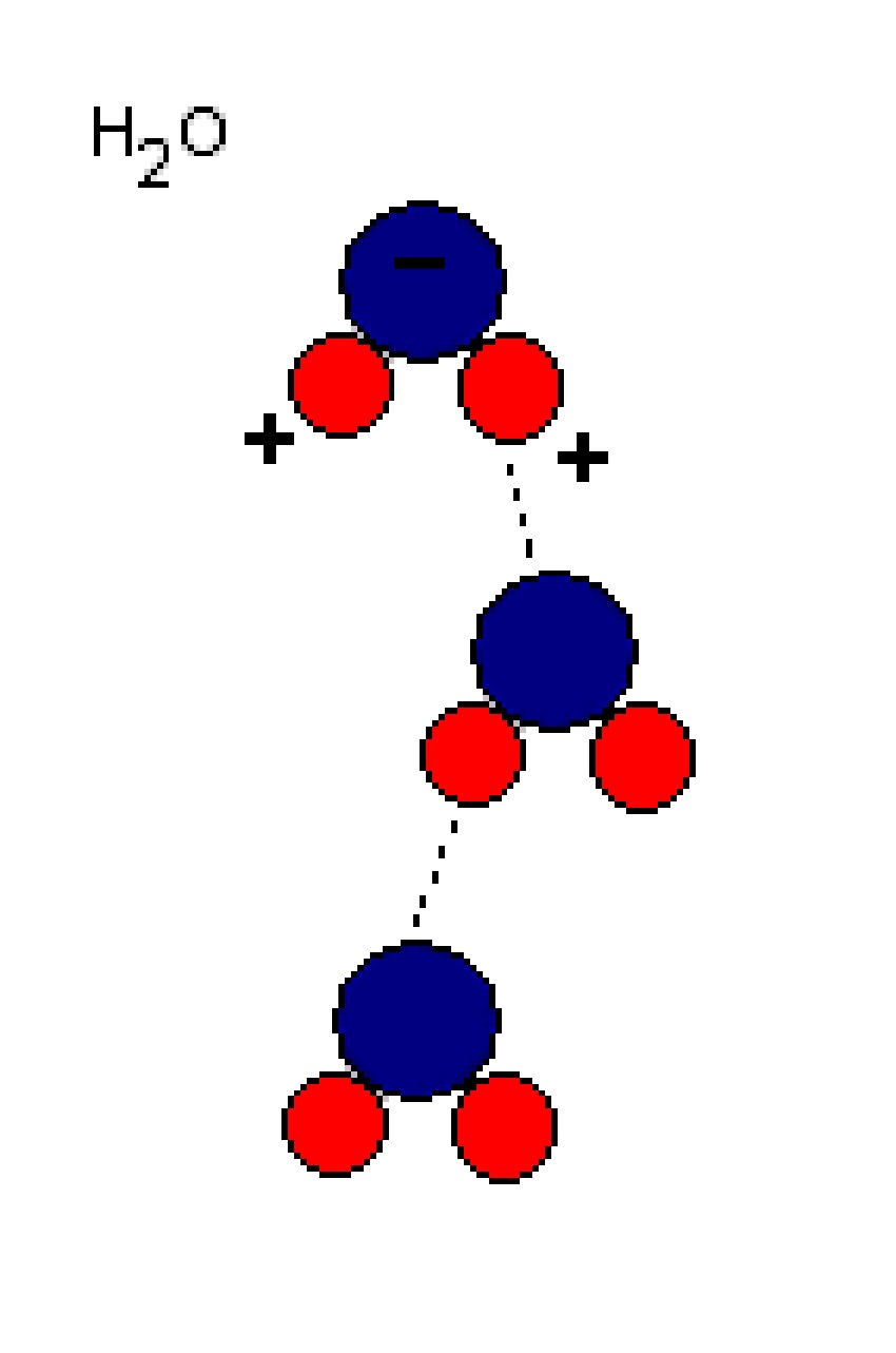 Diagram of interactions between water molecules