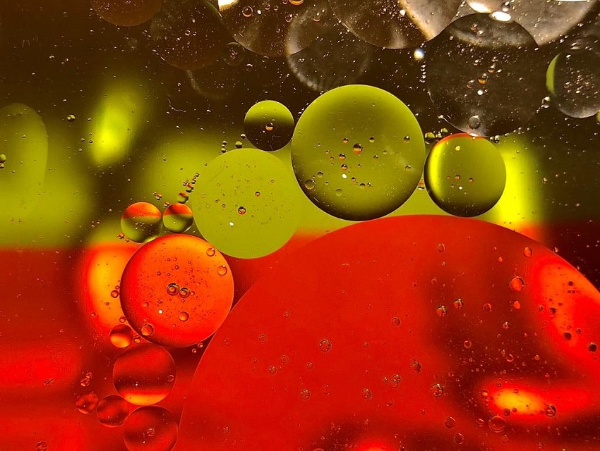 Oil droplets on water
