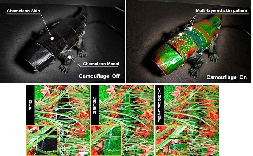 Demonstration of chameleon inspired soft robot under camouflage off and camouflage on mode. Credit seung hwan ko min