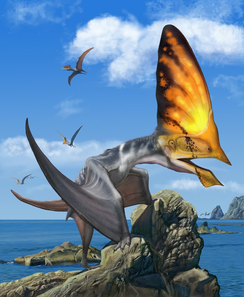 An artist's depiction of a pterosaur: a winged reptile with a large crest on its head