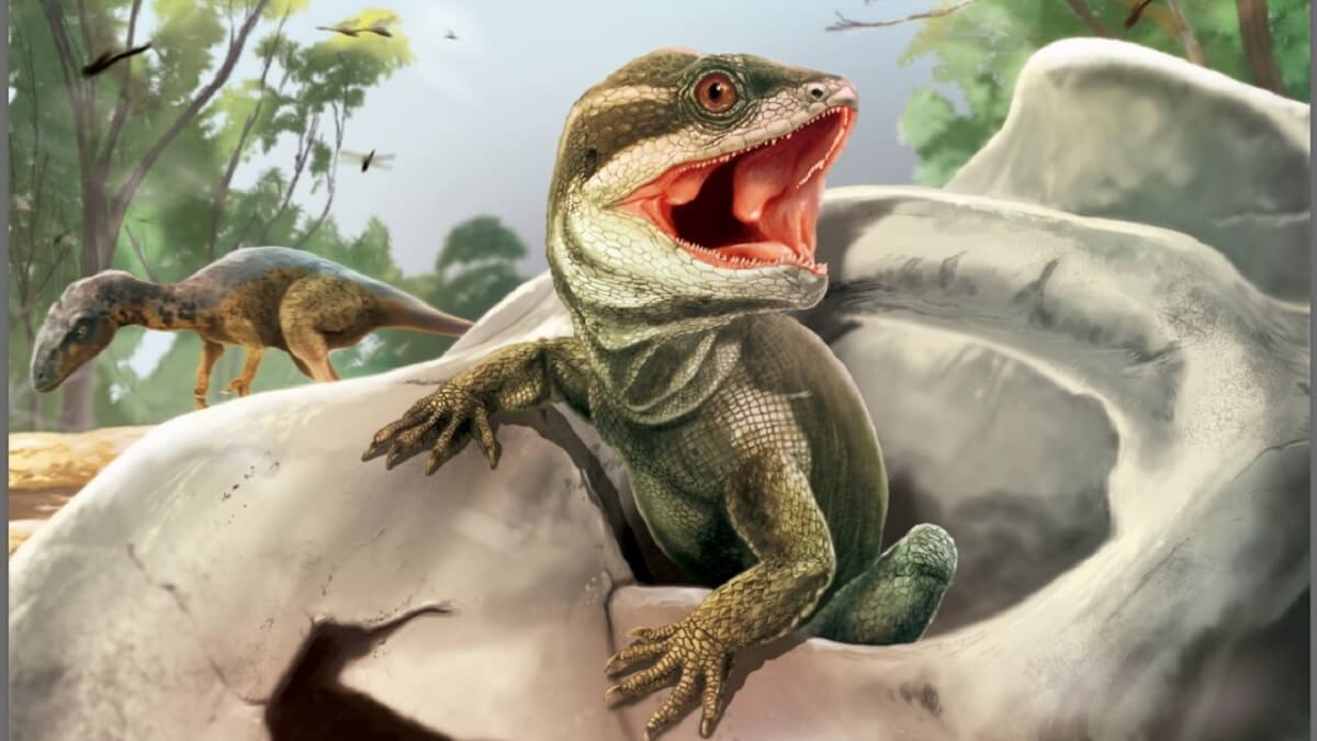 Artist's impression of ancient lizard on rock