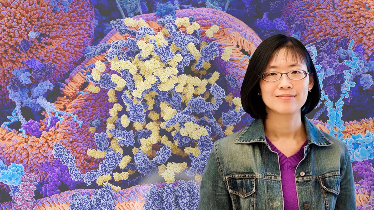 Michele Teng in foreground / CAR T cell cancer immunotherapy, illusion background