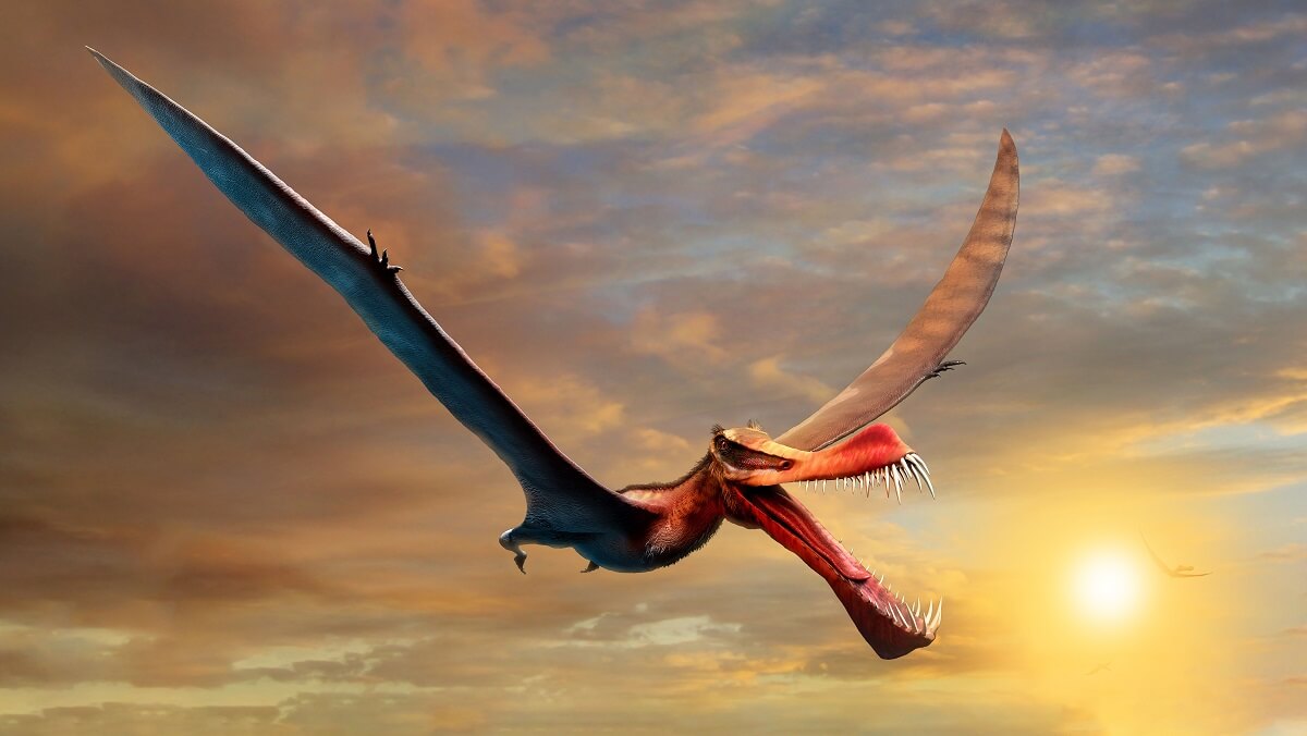 A red pterosaur against a sunset. Its mouth is pen and it has a long tongue and lots of teeth