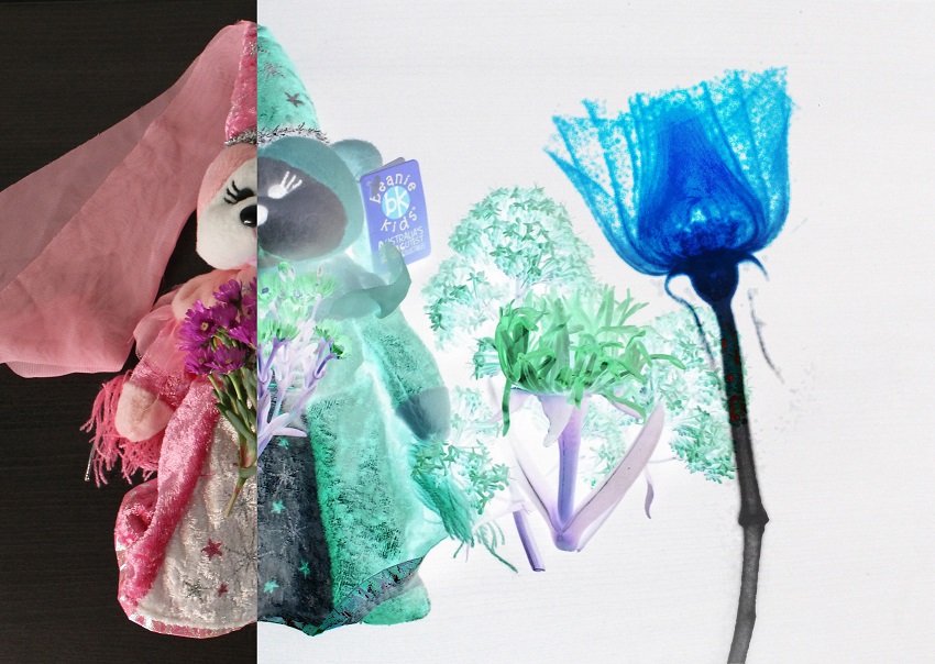 A stuffed toy bear and flowers, half of which is in normal visible light and half of which is in negative, next to a blue x-ray of a rose