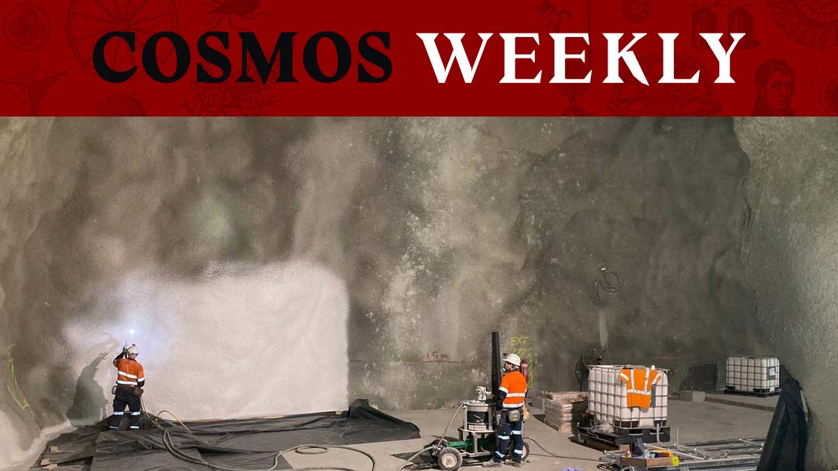 Two workers in Stawell Lab with a COSMOS WEEKLY Banner on top