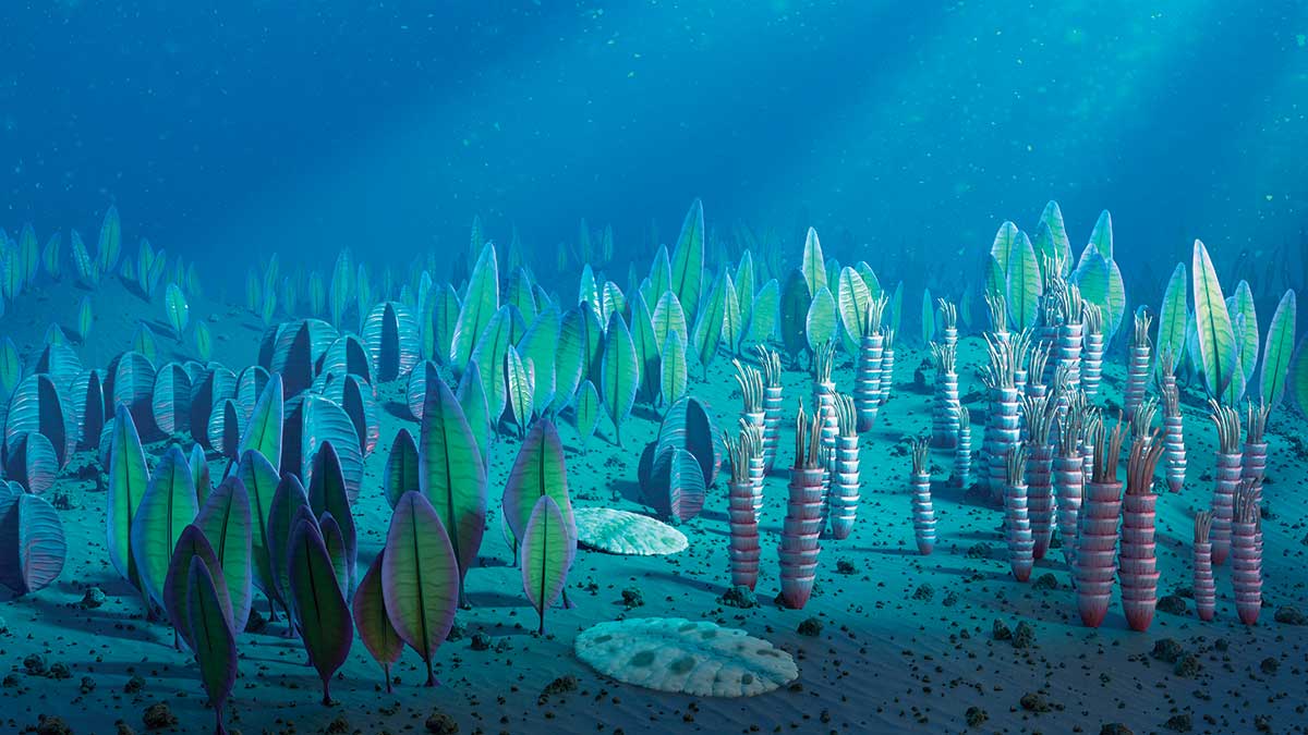 artists impression of prehistoric undersea life, which may be among our oldest animal ancestors