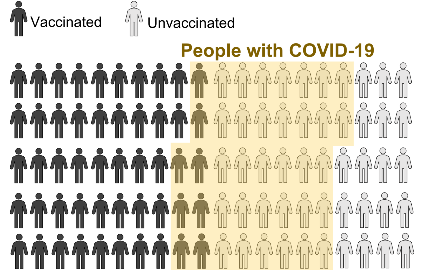 Graphic illustration showing vaccinated and unvacinated people. How many are sick is highlighted in yellow. There are the same amount of vaccinate and unvaccinated. More unvaccinated are highlighted in yellow. Some vaccinated people are highlighted in yellow