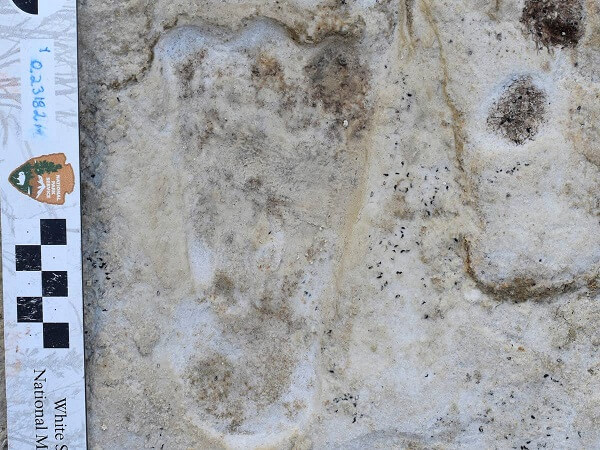 A single foot print in stone