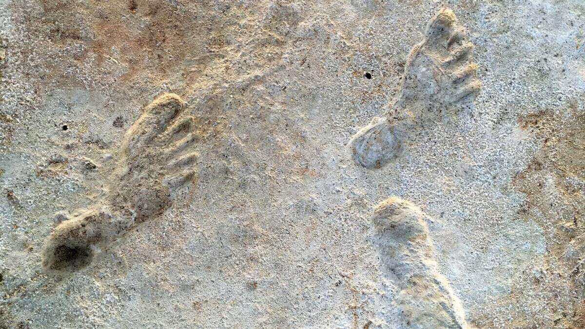 ancient Footprints embedded in stone